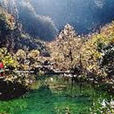 天脊山風景區 天脊山風景區