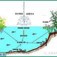 水體自淨