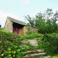 越峰村 越峰村