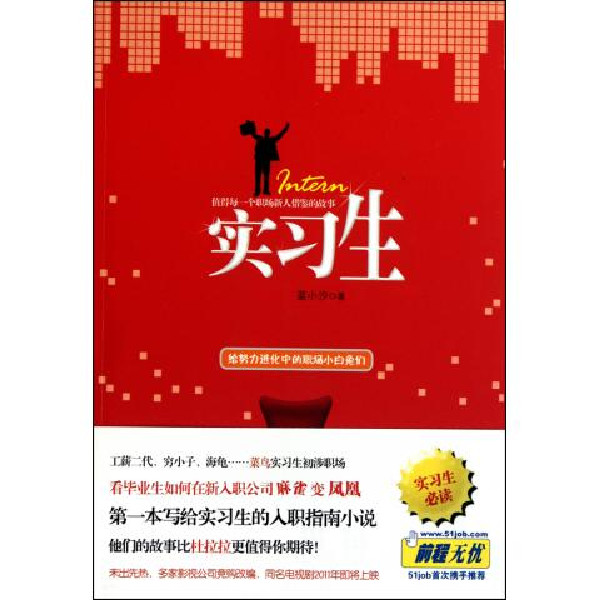 實習生(2010年雲南人民出版社出版書籍)