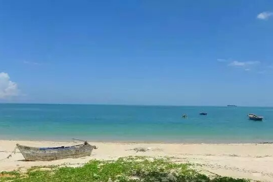 葉榕村 葉榕村