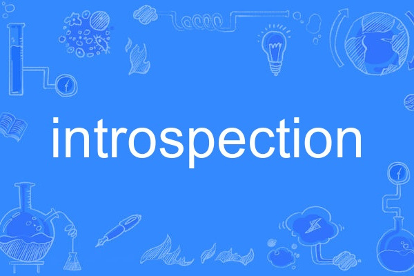 introspection introspection