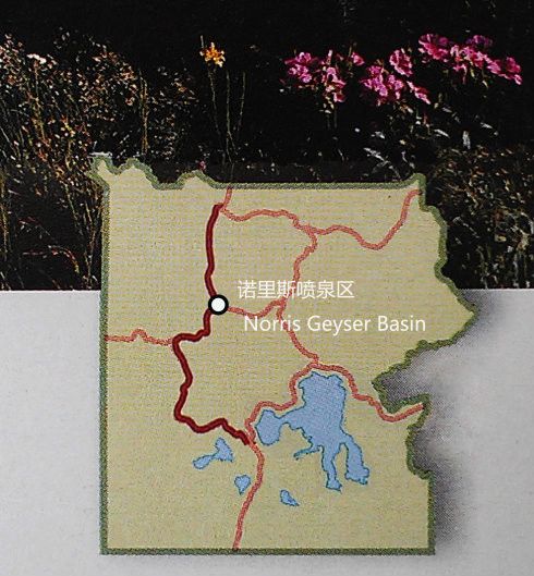 諾里斯區 諾里斯區