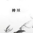 神殏 神殏