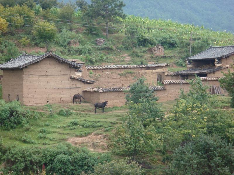 大壩山村 大壩山村