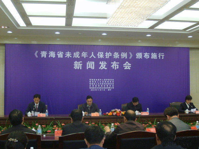 青海省未成年人保護條例