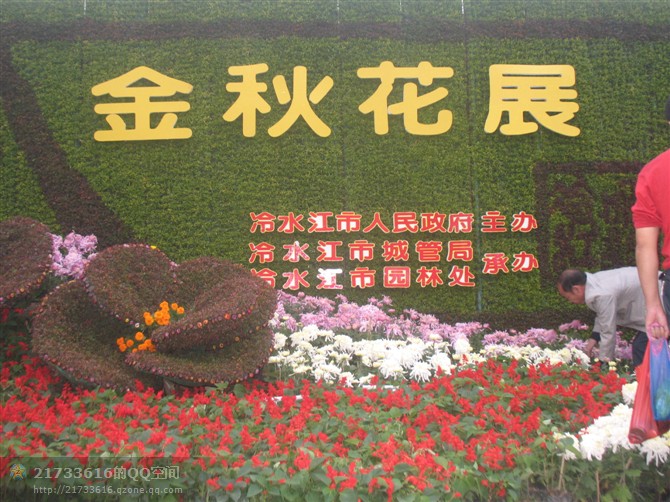 2011年濱江公園的花展