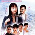 第101次求婚(101次求婚(中國電視劇)) 第101次求婚(101次求婚(中國電視劇))