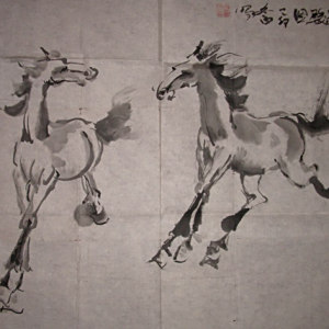 陳冬白 陳冬白