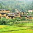 老龍滾村 老龍滾村
