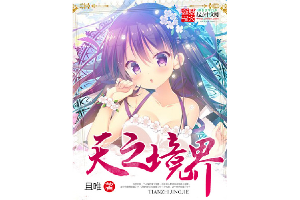 天之境界(且唯所著小說) 天之境界(且唯所著小說)