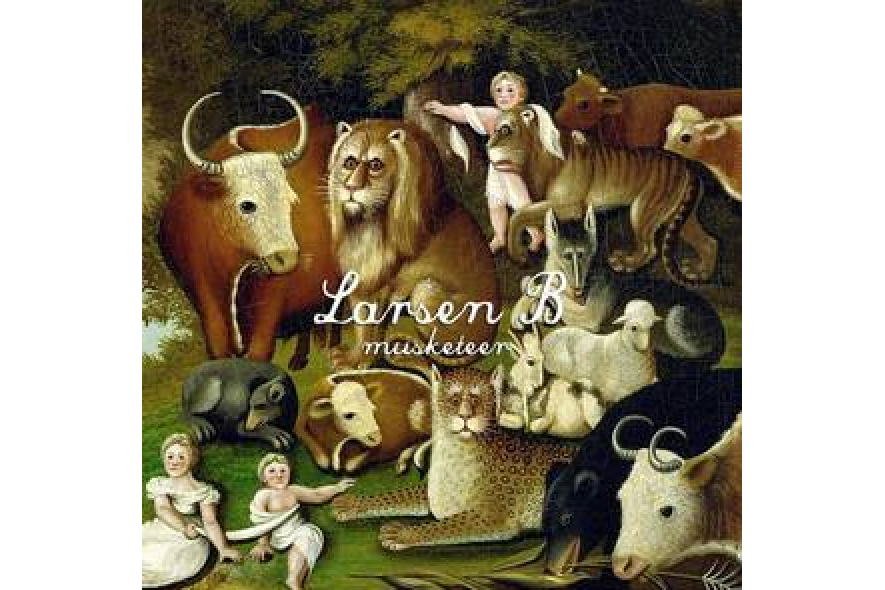 Larsen B Larsen B