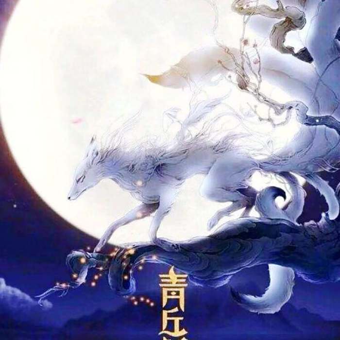 青丘之子 青丘之子