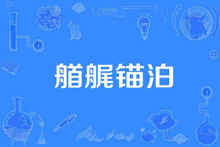 艏艉錨泊 艏艉錨泊