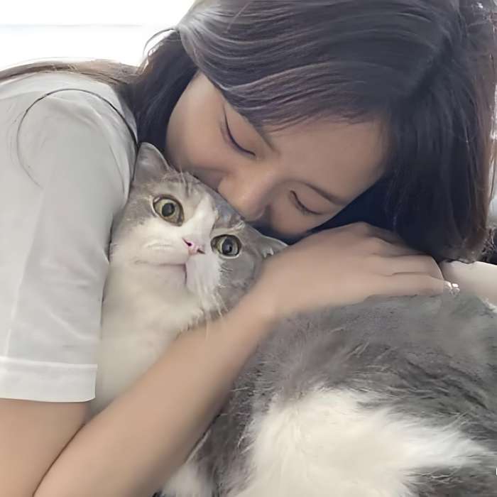 是橘子醬呀 是橘子醬呀
