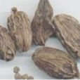 香豆蔻(嘎哥拉) 香豆蔻(嘎哥拉)