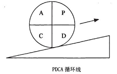 SDCA循環
