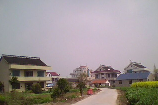 定海村(江蘇省南通市開發區定海村) 定海村(江蘇省南通市開發區定海村)