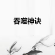 吞噬神訣 吞噬神訣