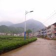 三鑫村(浙江省杭州市桐廬縣鳳川街道下轄村) 三鑫村(浙江省杭州市桐廬縣鳳川街道下轄村)