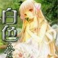 白色愛情 白色愛情