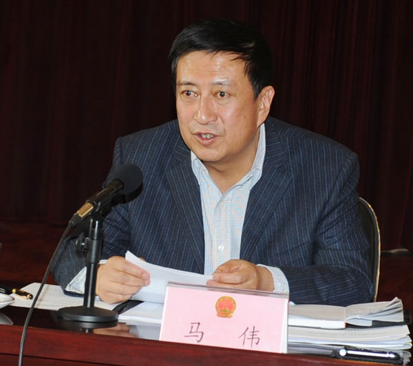 馬偉(青海省人大常委會副主任、黨組副書記)