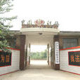 南孟鎮(河北省石家莊市藁城區南孟鎮)