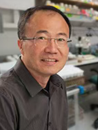 王競(深圳灣實驗室分子生理學研究所所長) 王競(深圳灣實驗室分子生理學研究所所長)