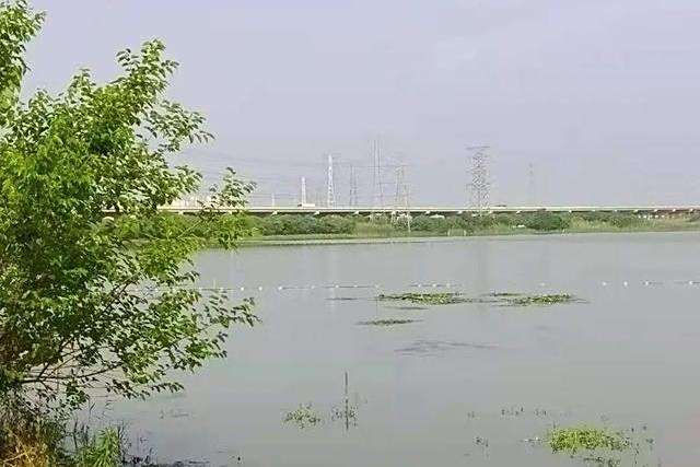 李仙湖(武漢經濟技術開發區所屬湖泊) 李仙湖(武漢經濟技術開發區所屬湖泊)