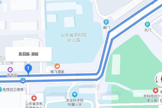 桑園北路 桑園北路