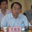 王省安 王省安