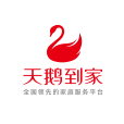 天鵝到家 天鵝到家