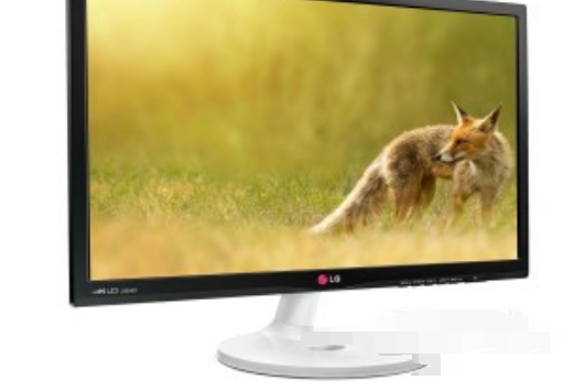 LG 22EA53R LG 22EA53R