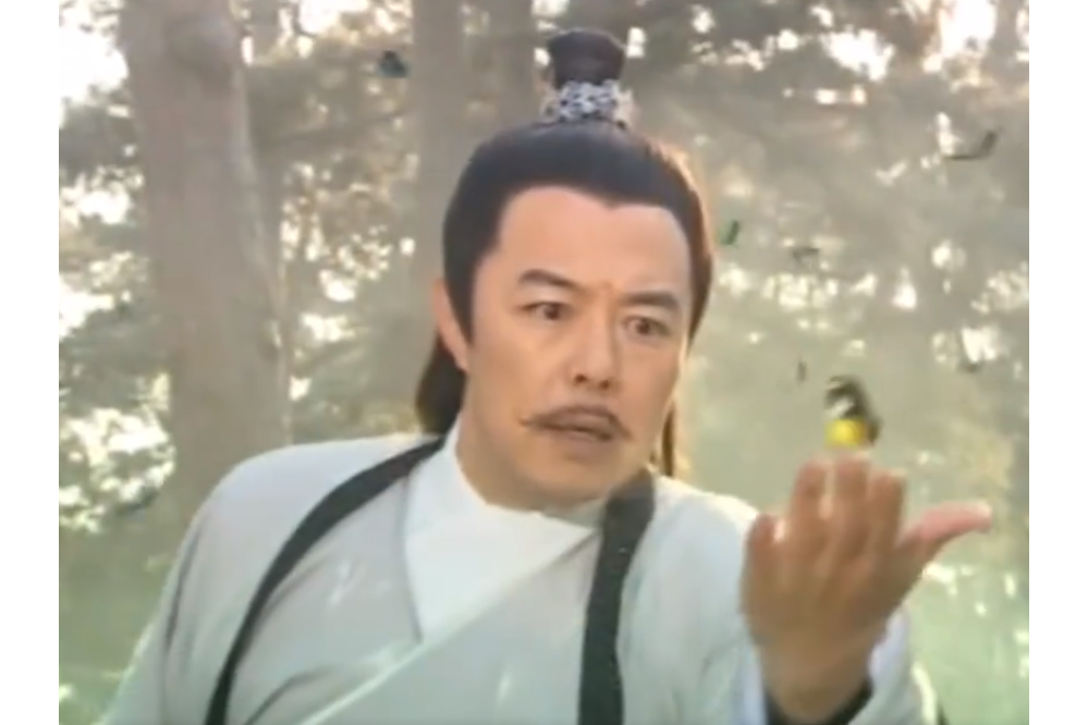 邢善(電視劇《神醫俠侶》中的男配角)