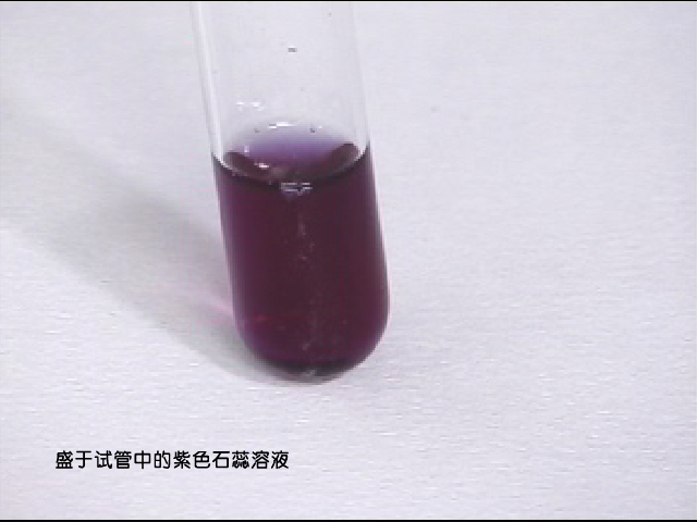 紫色石蕊試液