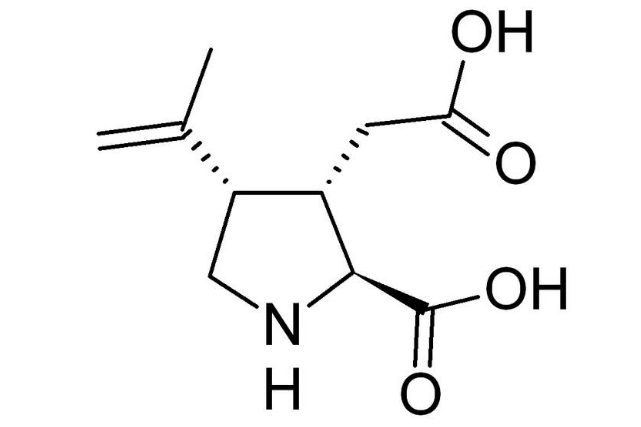 紅藻氨酸