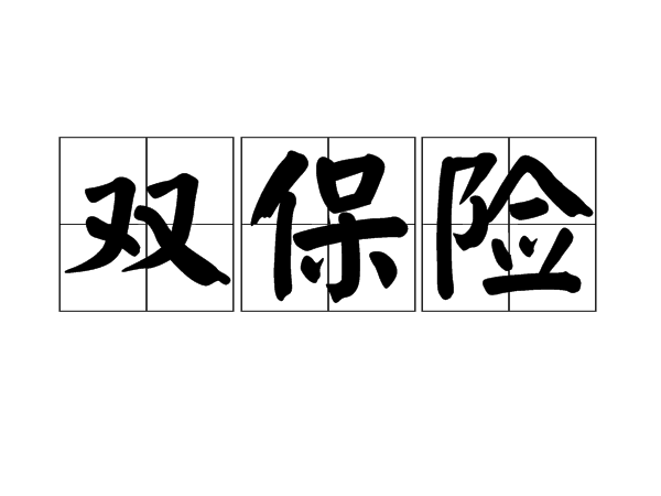 雙保險 雙保險