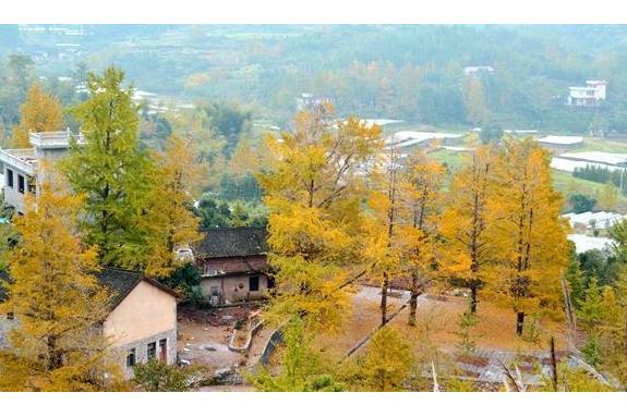 保合村(廣西壯族自治區桂林市興安縣漠川鄉下轄村) 保合村(廣西壯族自治區桂林市興安縣漠川鄉下轄村)