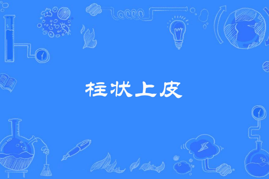 柱狀上皮 柱狀上皮