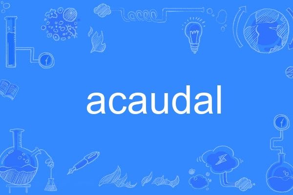 acaudal acaudal