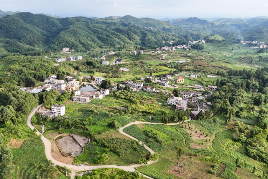 公雞山村 公雞山村