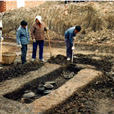 同里遺址 同里遺址