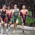 換項技術 換項技術
