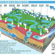 海綿城市(水資源管理策略和方法)