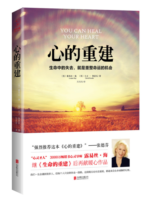 心的重建 心的重建