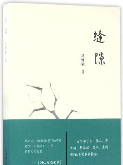 縫隙(詩人馬維駒詩集) 縫隙(詩人馬維駒詩集)