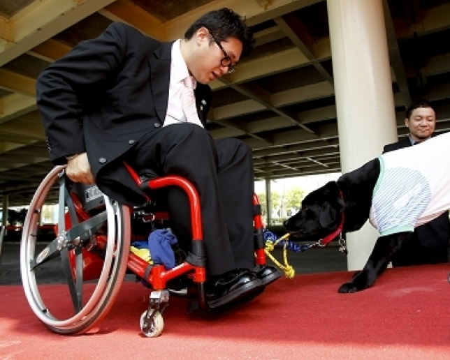 介護犬幫助肢殘人士拉動輪椅