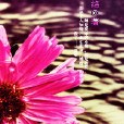 月明明