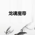 龍魂魔帝 龍魂魔帝