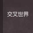 交叉世界(小說)